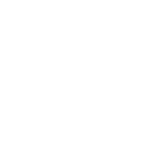 Logo Bruis_150x150