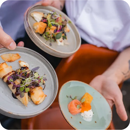 Over Haarlem Culinair